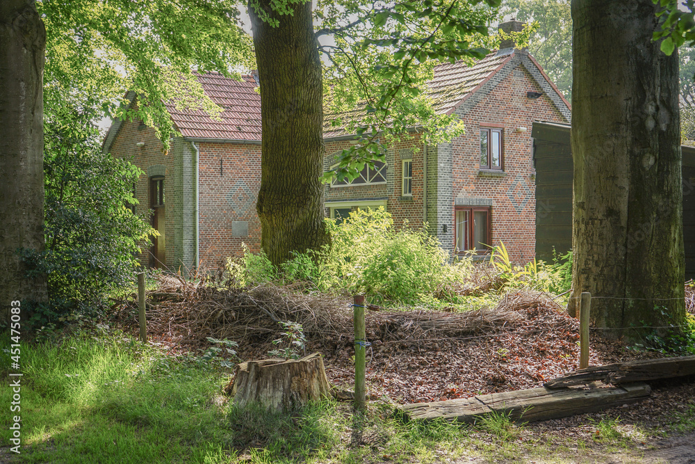 old house in the woods old house in the woods