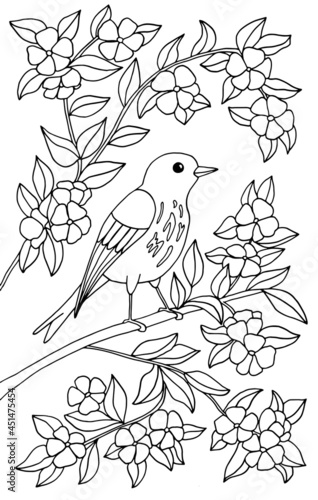 The bird is sitting in the flowering branches. Coloring page