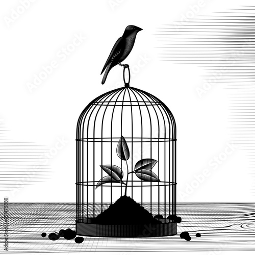 Engraved vintage drawing of a Birdcage with a plant sprout inside and a sitting bird
