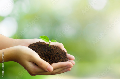 Hands wrapped around earth and seedlings waiting to grow. It is an idea medium of helping to reduce global warming. Let people turn to take care of the world by planting trees.