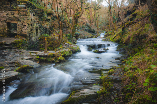 Rushing water in an autumn woodland