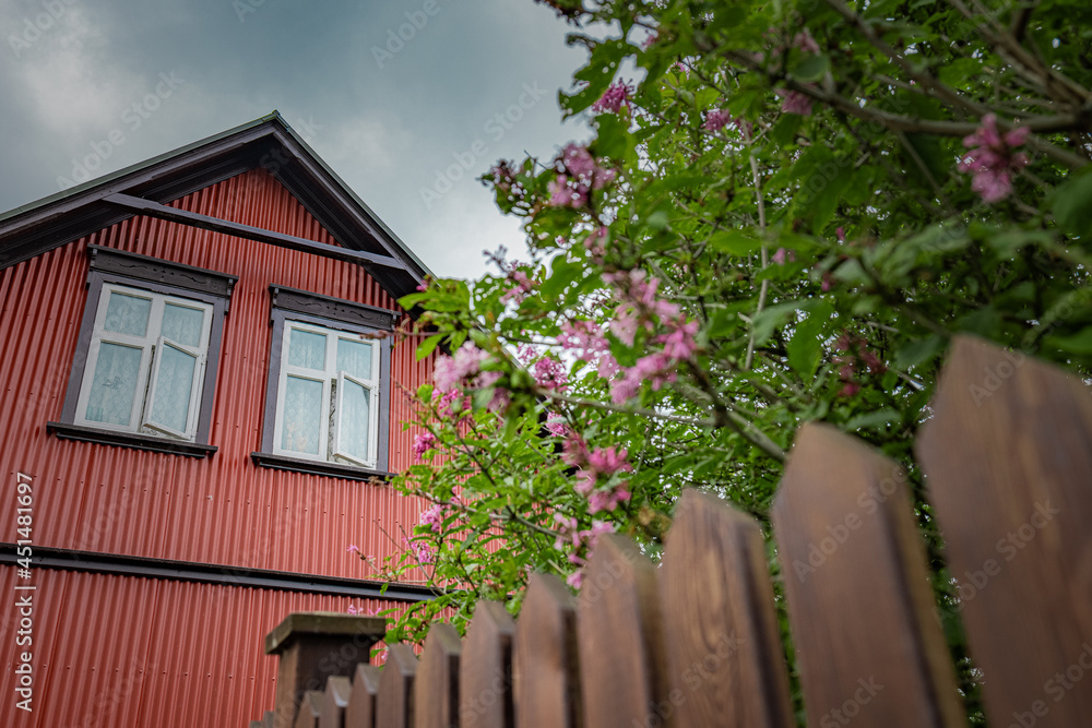 Typical house with red facade seen on most icelandic houses in reykjavik or other villages. View from  below with wooden fence and trees.