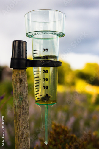 rain gauge in a garden