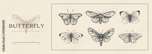 Set of hand-drawn butterflies. Insects in vintage style. Vector illustration for animalistic background. Design element for postcard, poster, cover, invitation. photo