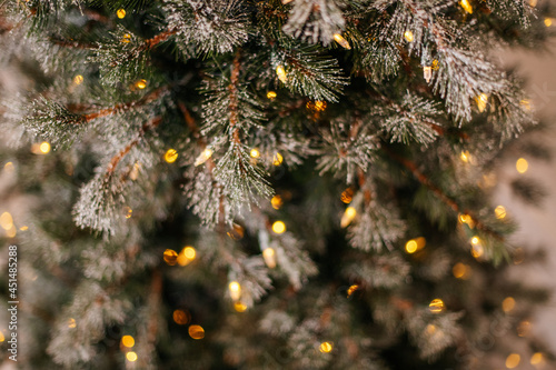 Fotografie christmas tree branches with snow and lights