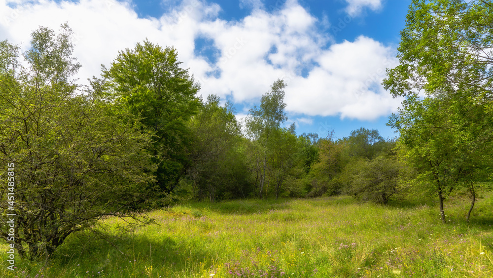 Landschaft in Frankreich an der Grenze zu Deutschland