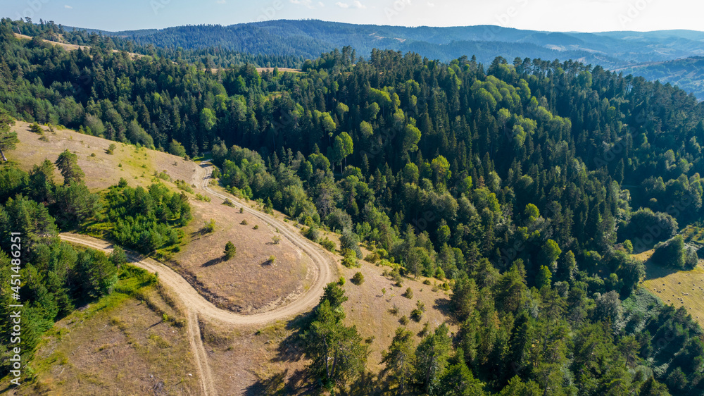 Mountain road with forest landscape. Aerial view of green forests. Birds eye view use the drone in morning bright sunlight..