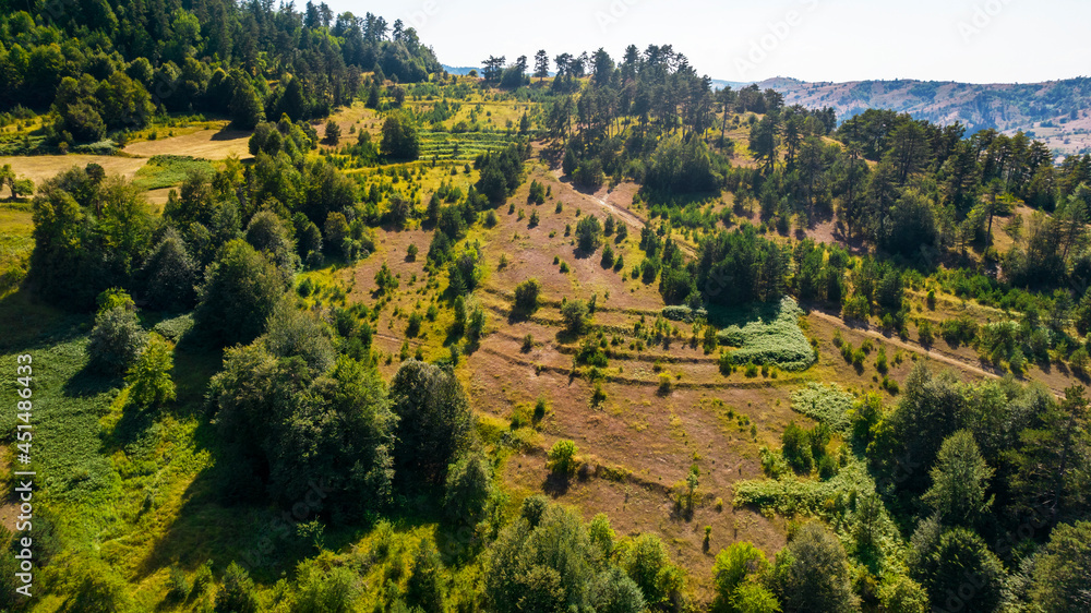 Mountain forest with pine trees. Aerial view of green forests. Birds eye view use the drone in morning bright sunlight.