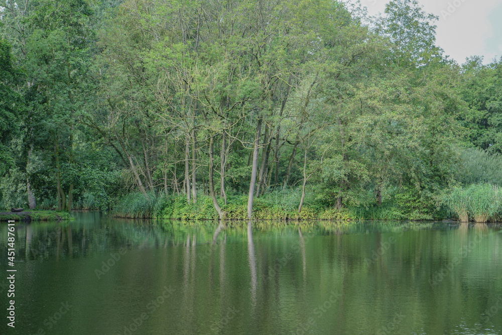 lake in the woods lake in the woods
