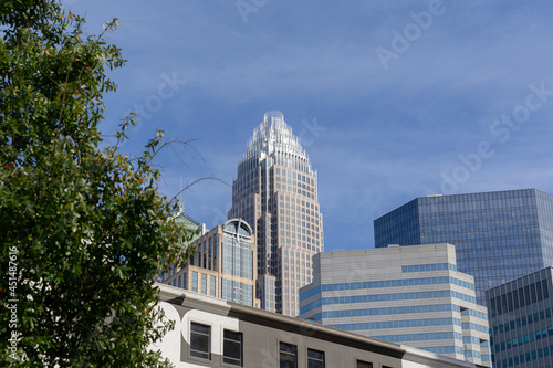 Skyline cityscape of Charlotte, NC with tree in foreground. Architectural office and apartment buildings.