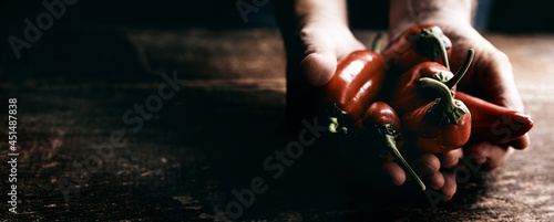 фотография Closeup shot of hands holding fresh chili peppers