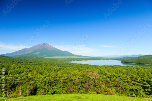 夏 河口湖 富士山