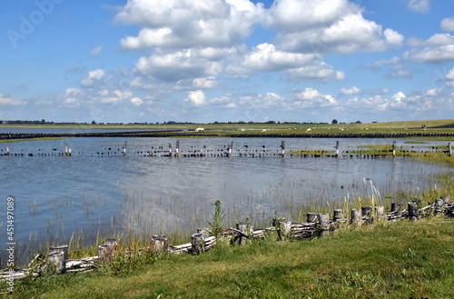 Strand von Husum im Sommer photo