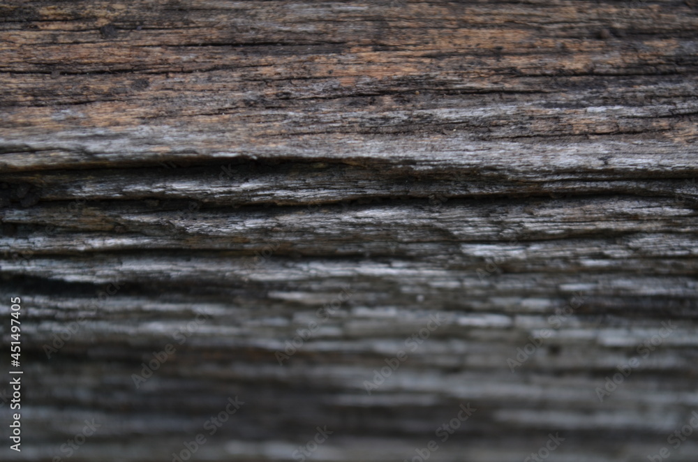 Fototapeta premium Texture of old rough wood. Abstract background for design of vintage retro. 