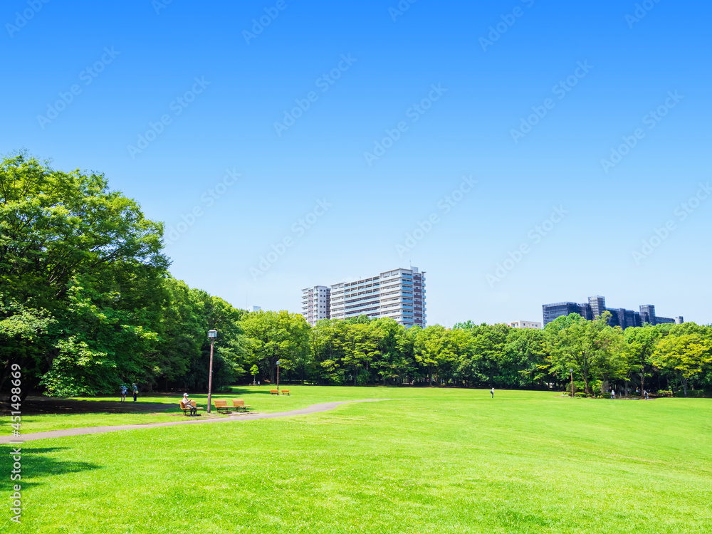 青空と緑の公園広場