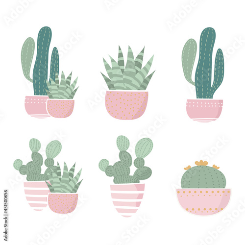 Cactus set of isolated vector illustrations. Potted plant cute design