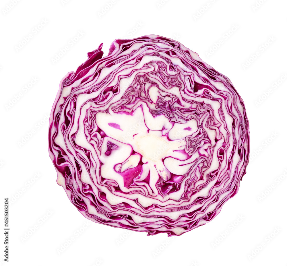 Obraz premium Red cabbage section close up.