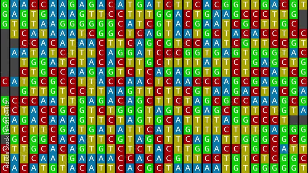 Loopable: DNA genetic matching and analysis abstract background with square color-coded DNA components C, G, A, T. Genomic data processing concept. Loopable: DNA genetic matching and analysis abstract background with square color-coded DNA components C, G, A, T. Genomic data processing concept.