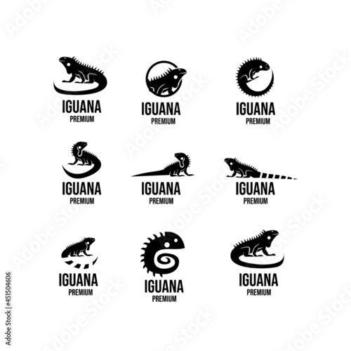 set collection iguana logo icon design illustration vector photo