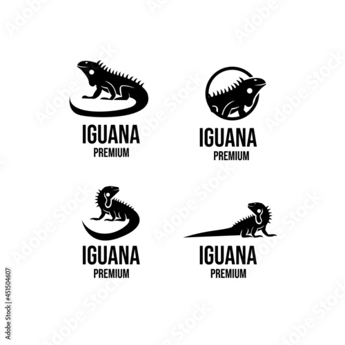 set collection iguana logo icon design illustration vector