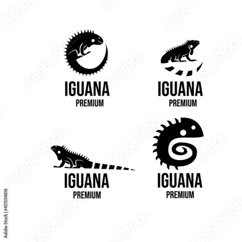 set collection iguana logo icon design illustration vector
