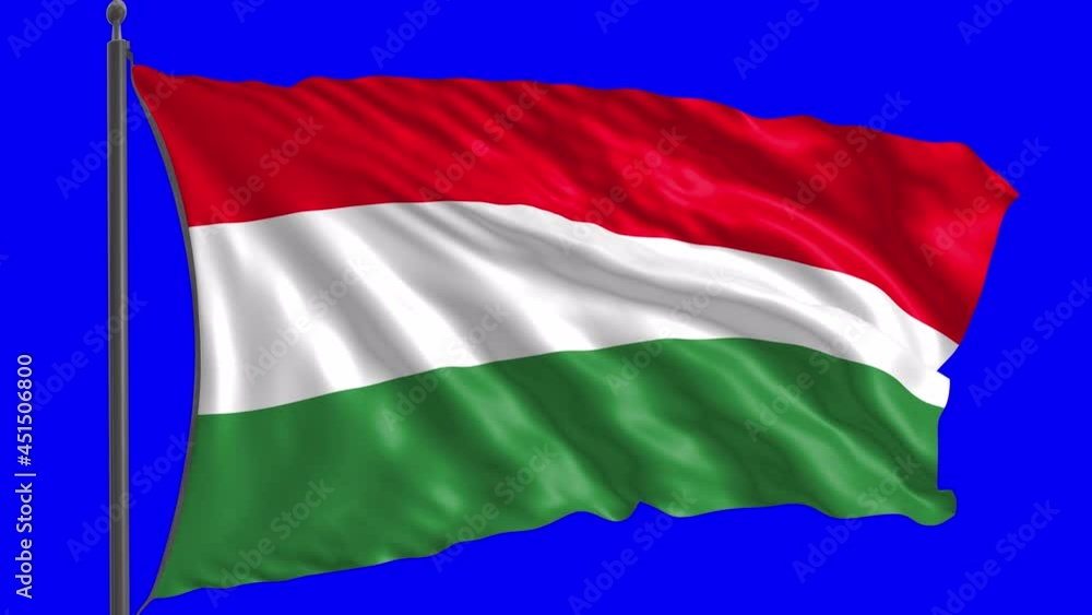 Flag of Hungary with alpha channel.
Flag of Hungary with alpha channel.