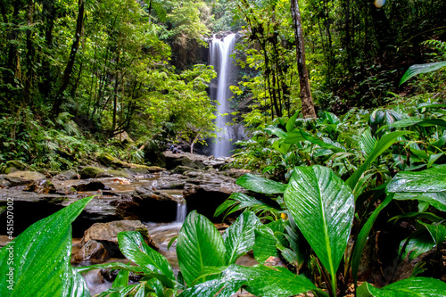 Avocat waterfall photo