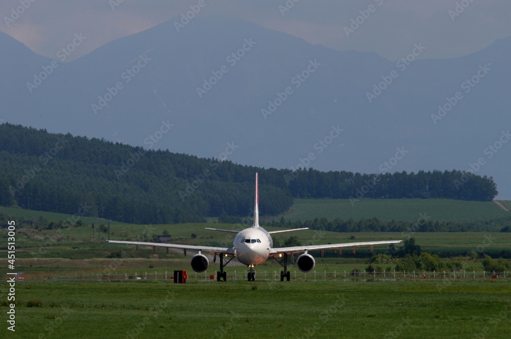 Fototapeta premium Airliner in representative Hokkaido landscape