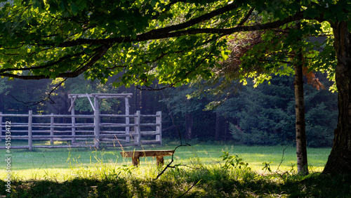 A zen place to sit