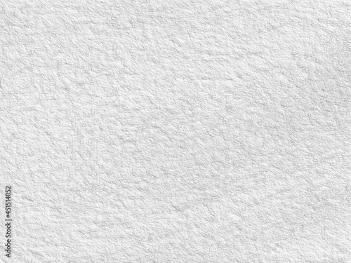 Monochrome texture background. Image includes the effect the black and white tones. Surface looks rough. Gray printing element. Backdrop texture wall and have copy space for text.