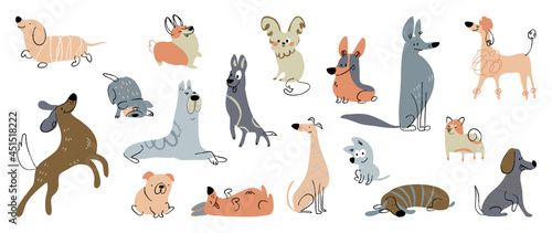 Cute dogs doodle vector set. Cartoon dog or puppy characters design collection with flat color in different poses. Set of funny pet animals isolated on white background. photo