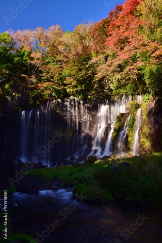 秋 紅葉の白糸ノ滝