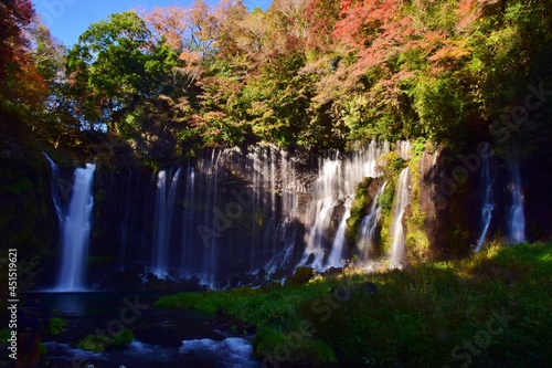 秋 紅葉の白糸ノ滝