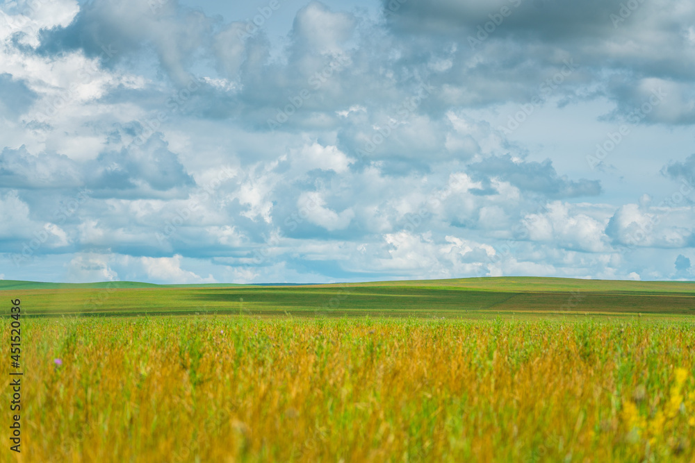 The grassland landscape in Hulun Buir, Inner Mongolia, China, summer time.