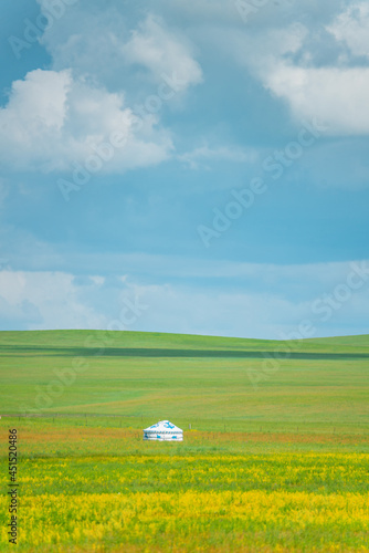 The grassland landscape in Hulun Buir, Inner Mongolia, China, summer time.