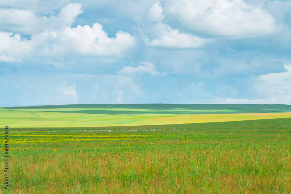 The grassland landscape in Hulun Buir, Inner Mongolia, China, summer time.