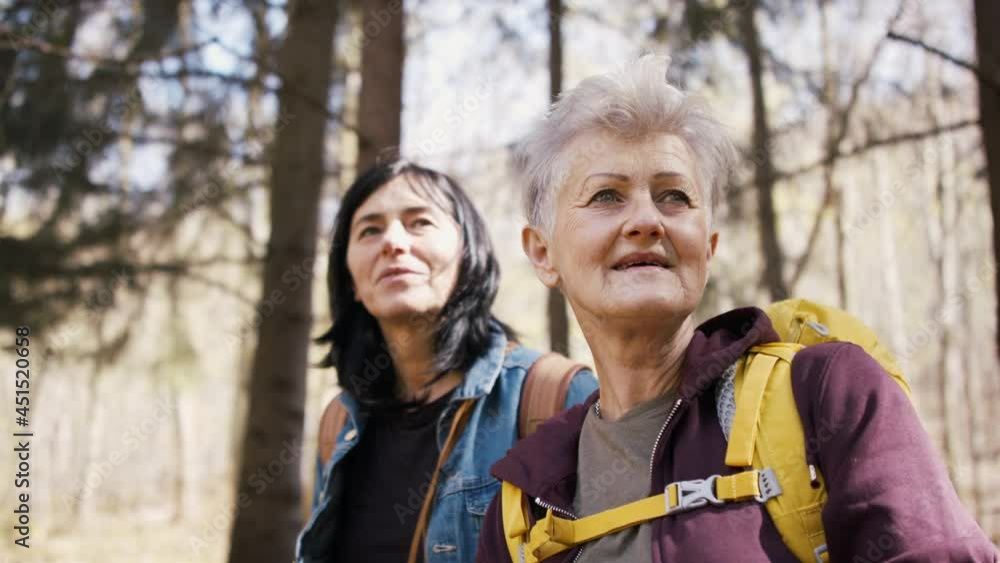 Senior women hikers outdoors walking in forest in nature, talking. Senior women hikers outdoors walking in forest in nature, talking.