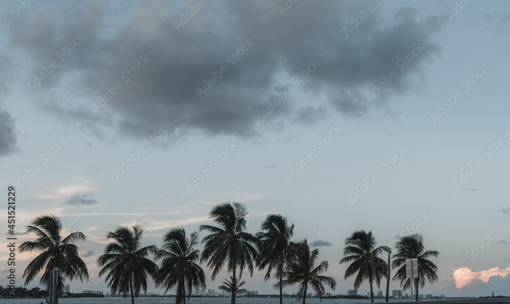 clouds over the city beach palms sky caribe florida usa 