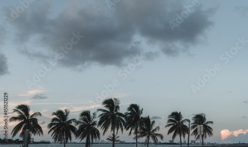 clouds over the city beach palms sky caribe florida usa 