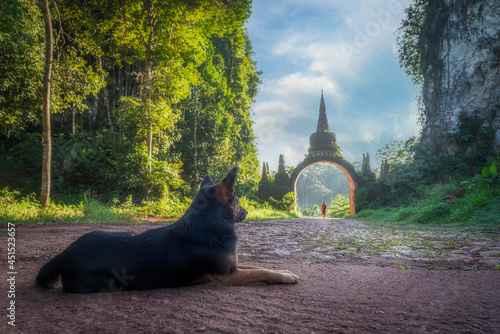 Canvas Print A dog is looking at monk walking from the arch of Khao Na Nai Luang Dharma Park at Surat Thani in Thailand