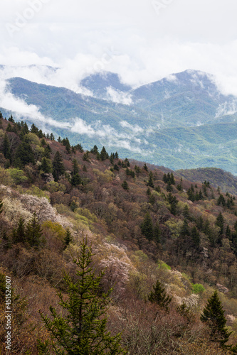 Spring Landscape near the Blue Ridge Parkway in North Carolina