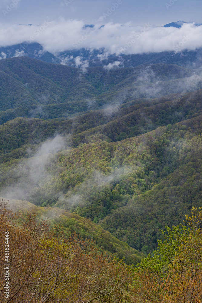 Balsam Mountain, Great Smoky Mountains National Park, NC Balsam Mountain, Great Smoky Mountains National Park, NC