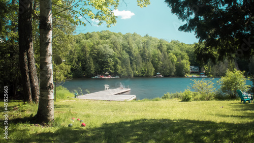 Photography Blue resort lake surrounded by trees in summer