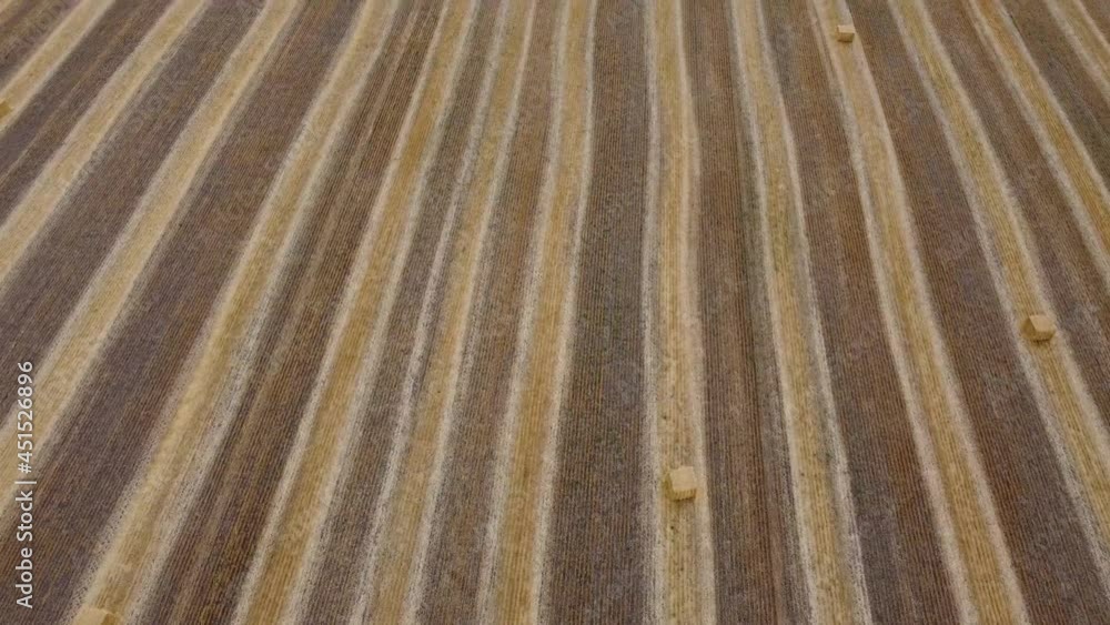 Wheat field with rectangular briquettes from height Wheat field with rectangular briquettes from height