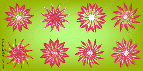 Collection of beauty daisy sunflower chrysanthemum flowers flora gerbera blossom petal plants snowflakes icon object element isolated abstract background pattern vector and illustration