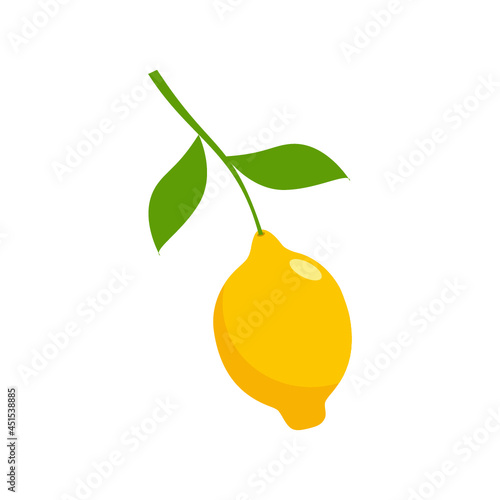 Fresh lemon fruits icon isolated on white background
