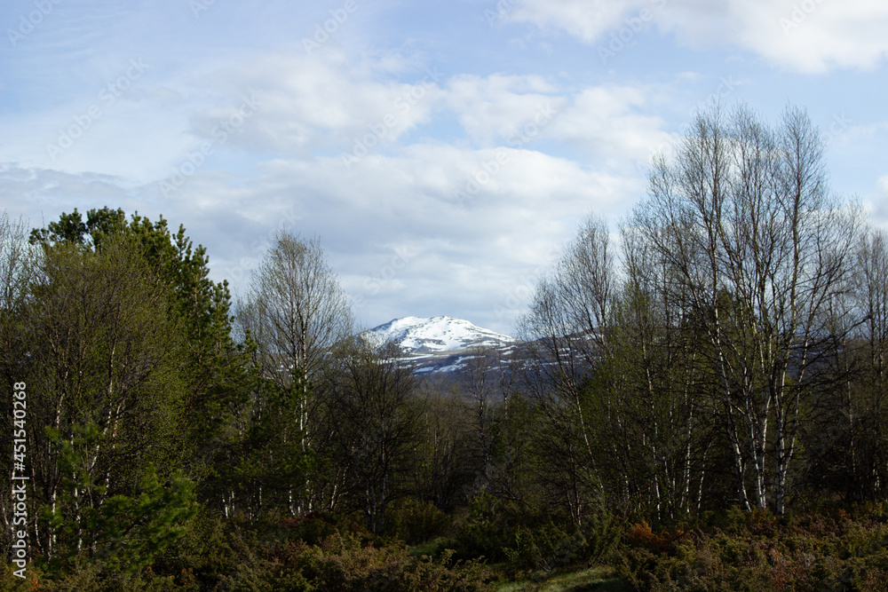 Berg mit Schnee in Norwegen