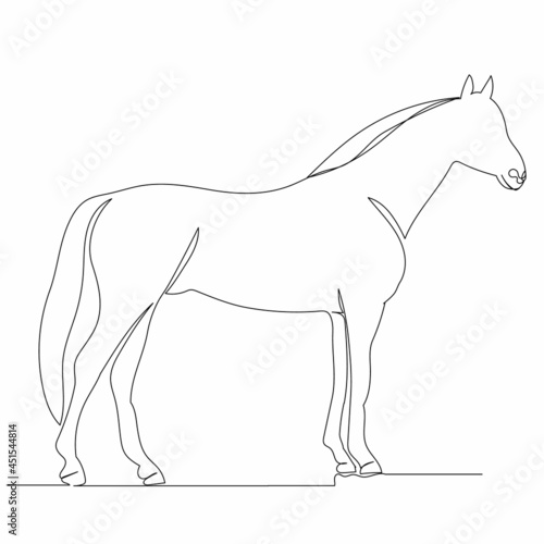 continuous line drawing horse sketch, vector