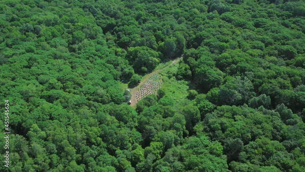 Top view of a bee apiary. Top view of a bee apiary.