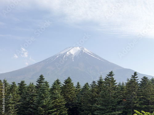 青空と森と富士山。日本の初夏
